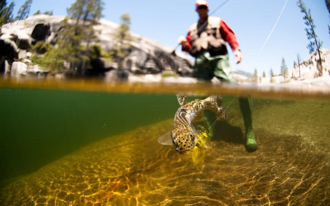 A Beginner’s Guide to the Green River Utah Fly Fishing Scene