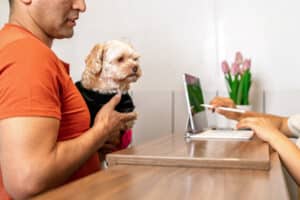 Checking into hotel with pet dog while employee greets dog